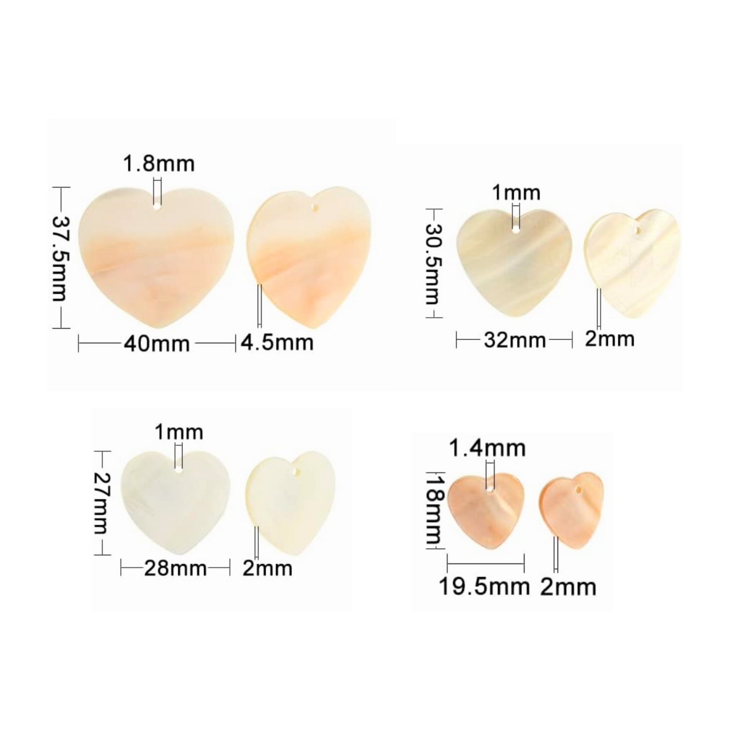 Plain Shell Earrings